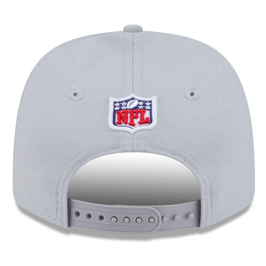 Seahawks 2025 Rivalries Sideline Wolf Gray Stretch-Snap Hat