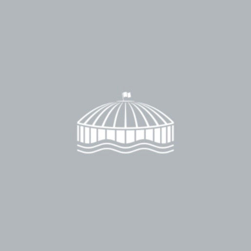 Seahawks Retro Logo Kingdome A-Frame Hat